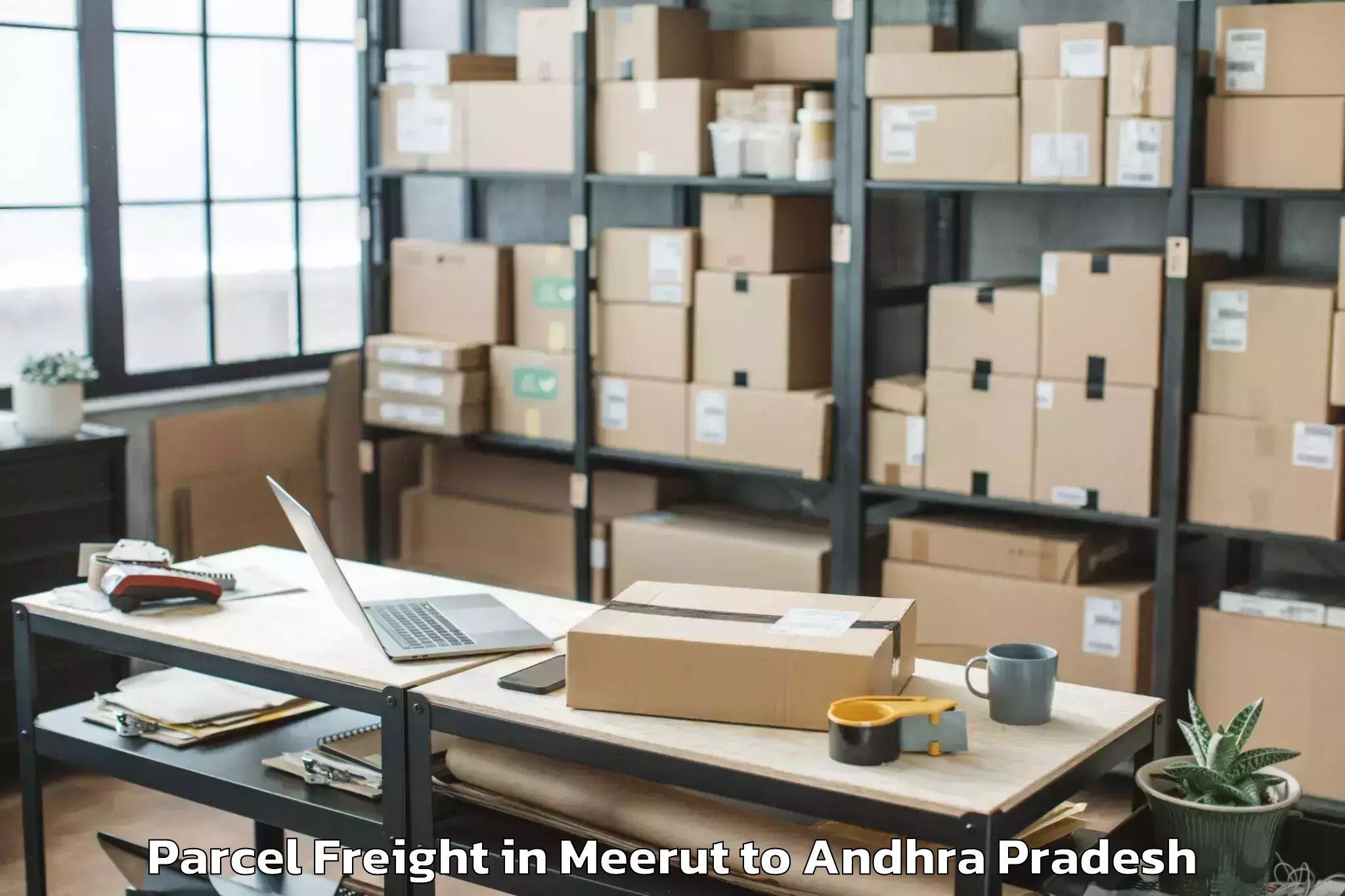 Trusted Meerut to Bapatla Parcel Freight